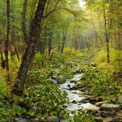 阿SUE的美情故事（动画）